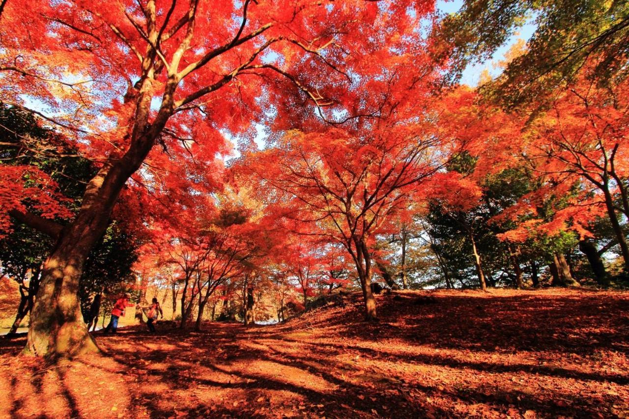 伊豆高原 温泉付別荘 Isana Mountain Villa Futo Exteriér fotografie
