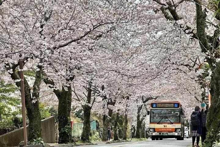 伊豆高原 温泉付別荘 Isana Mountain Villa Futo Exteriér fotografie