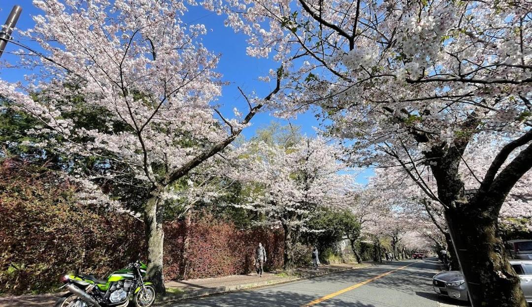 伊豆高原 温泉付別荘 Isana Mountain Villa Futo Exteriér fotografie