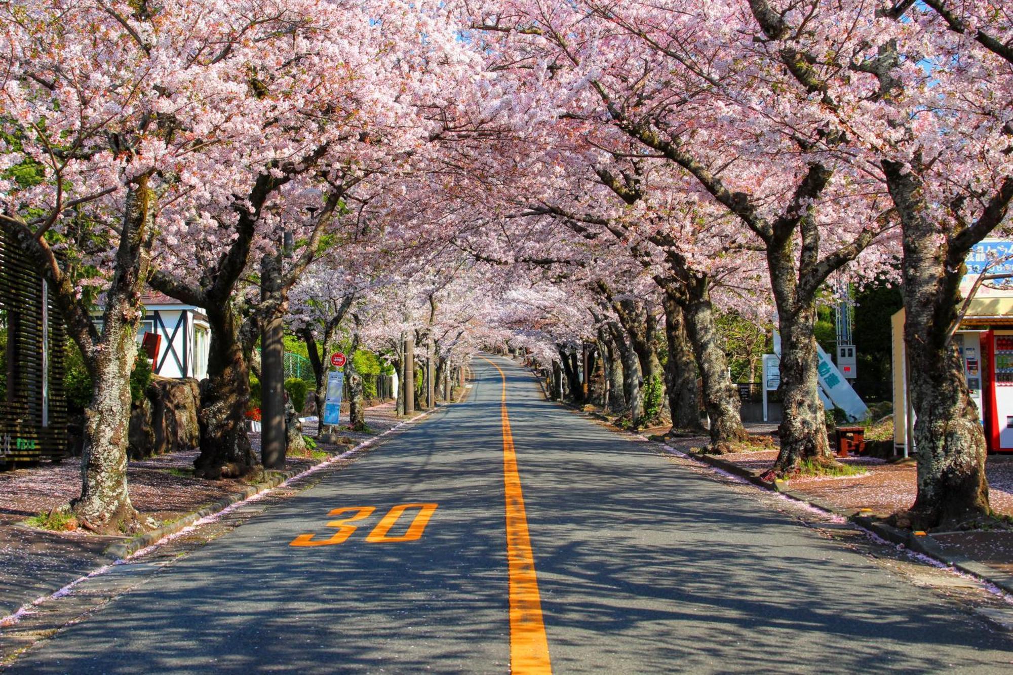 伊豆高原 温泉付別荘 Isana Mountain Villa Futo Exteriér fotografie